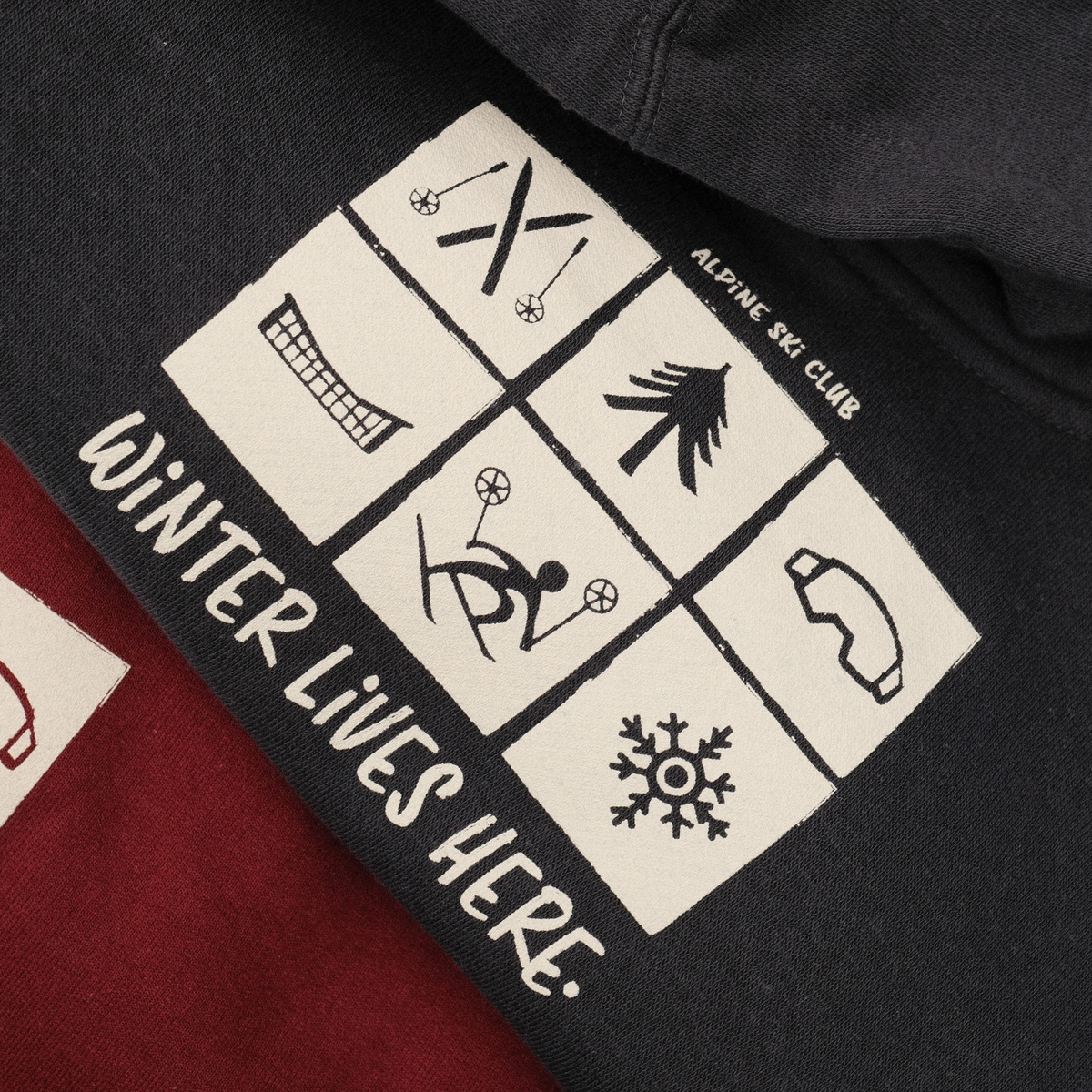 Close-up of navy Alpine Ski Club toddler hoodie with six winter icons and ‘Winter Lives Here’ lettering.