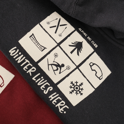 Close-up of navy Alpine Ski Club toddler hoodie with six winter icons and ‘Winter Lives Here’ lettering.